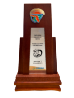 2023-2024 Boys Swimming & Diving District Champion